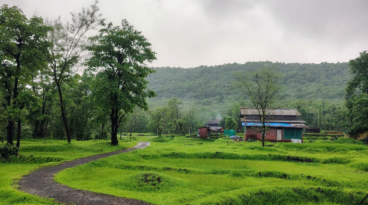 कोकण – निसर्ग, संस्कृती आणि अस्सल चवीची ओळख 🌴